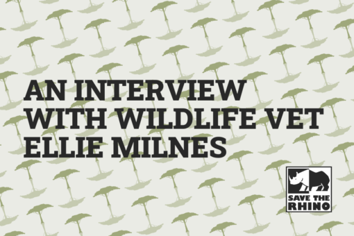 An interview with Ellie Milnes
