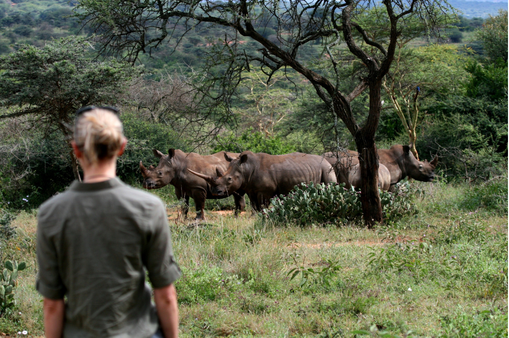 Ellie with white rhinos in the background.