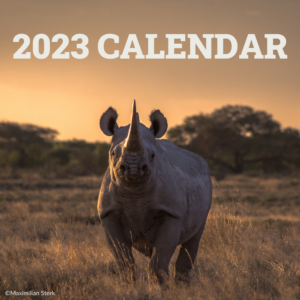 2023 Calendar Front Cover