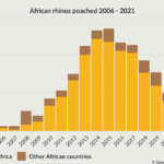 Rhino poaching bar chart