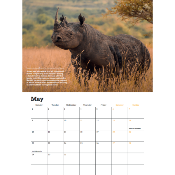 May 2023 Calendar