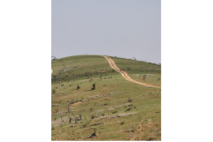 A hill with a path