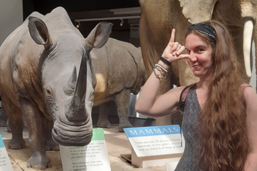 Woman smiling next to a rhino at a museum