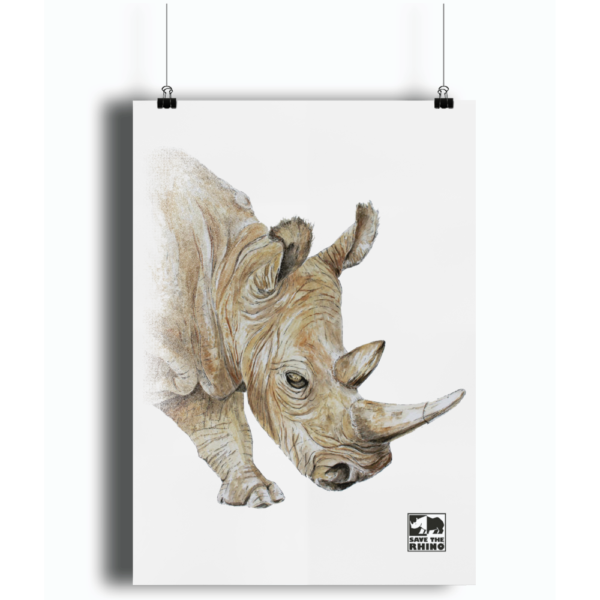 Unframed White Rhino A3 Print