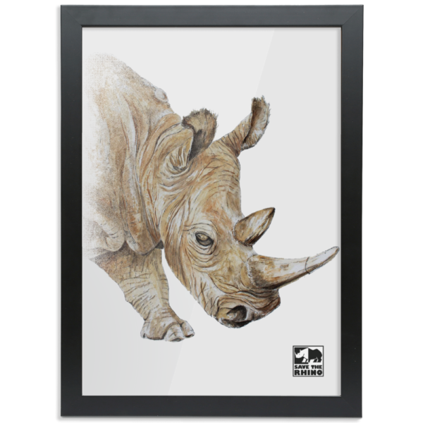 Framed White Rhino A3 Print