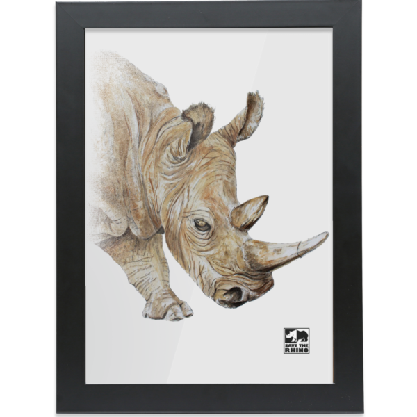 Framed White Rhino A4 Print