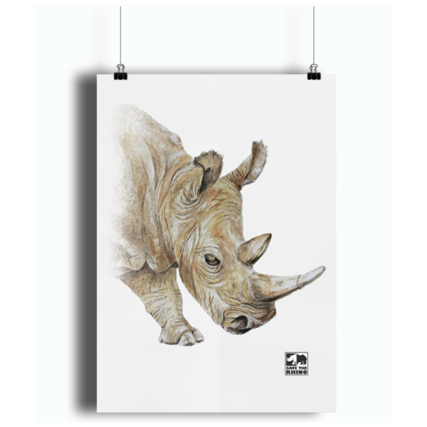 Unframed White Rhino A4 Print