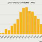 Graph showing the number of African rhinos poached between 2006 and 2022