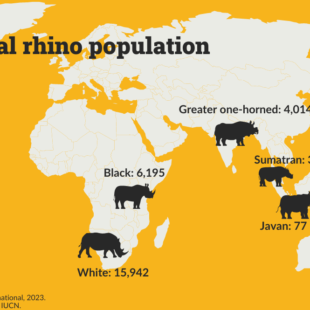 Habitat Loss | Threats | Save the Rhino International