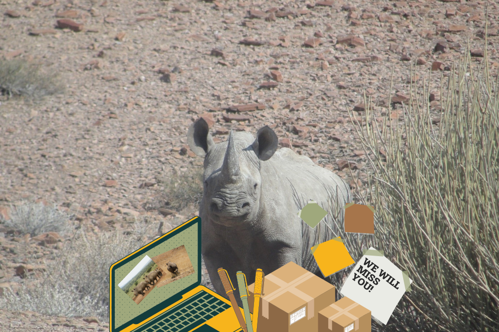 Rhino surrounded by office supplies