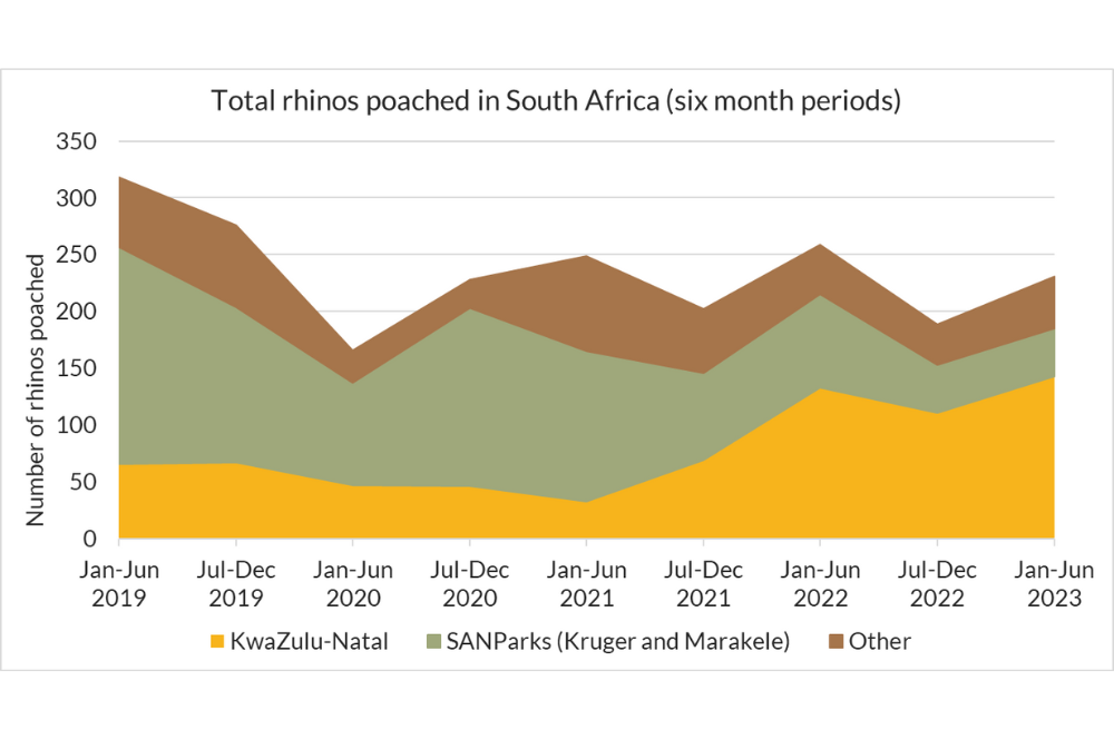 Chart showing number of rhinos poached.
