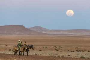 Three men riding mules with the Namibian desert and the moon in the background.