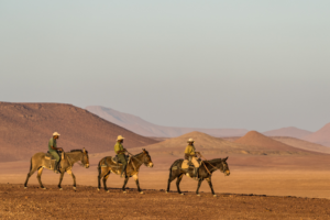 Three men riding mules in Namibia.