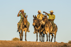 Three men on mules looking to the left.
