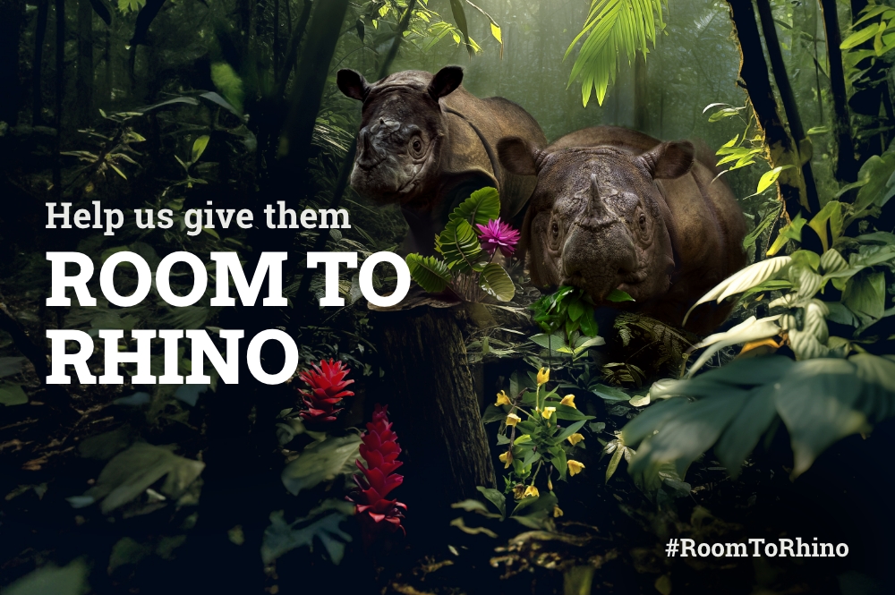 AI image showing two Sumatran rhinos in a forest.