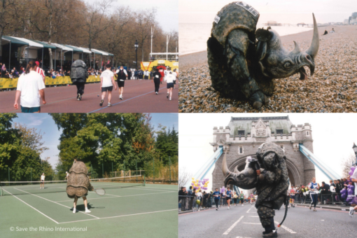 archive photos of the rhino costume in action