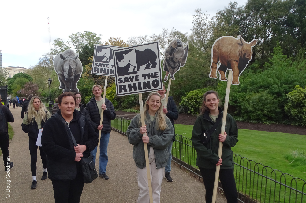 volunteers carrying rhino placards at London Marathon