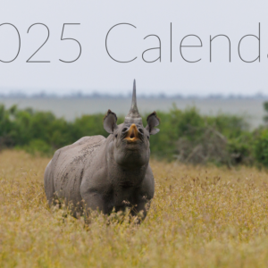 2025 Rhino Calendar Front. Black rhino alongside Save the Rhino's logo.