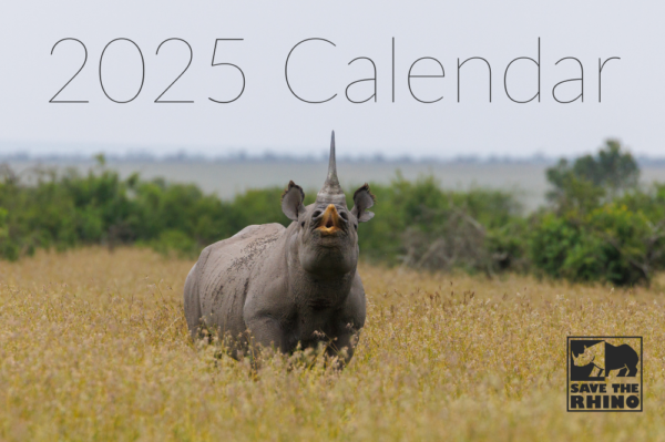 2025 Rhino Calendar Front. Black rhino alongside Save the Rhino's logo.