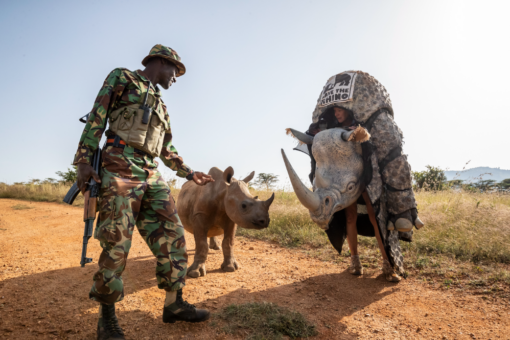 A woman in a rhino costume, next to a black rhino calf and a ranger, outside