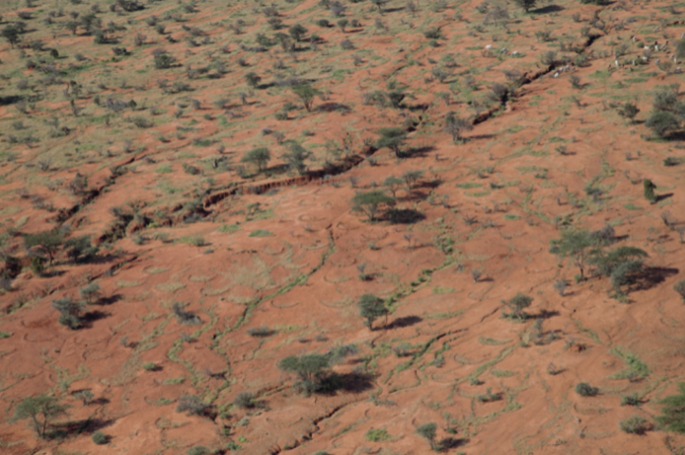 Red soil with deep crevices