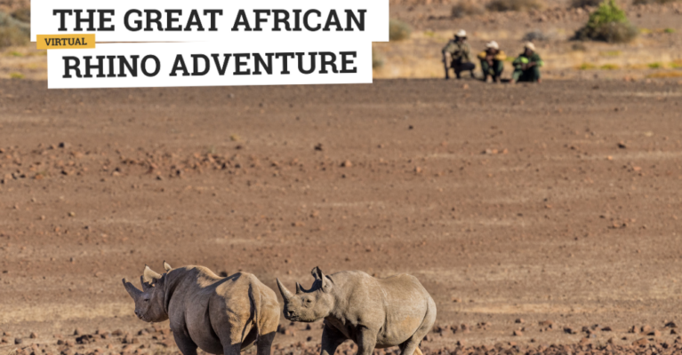 Black rhinos in the desert. Text: The Great African Rhino Adventure (virtual)