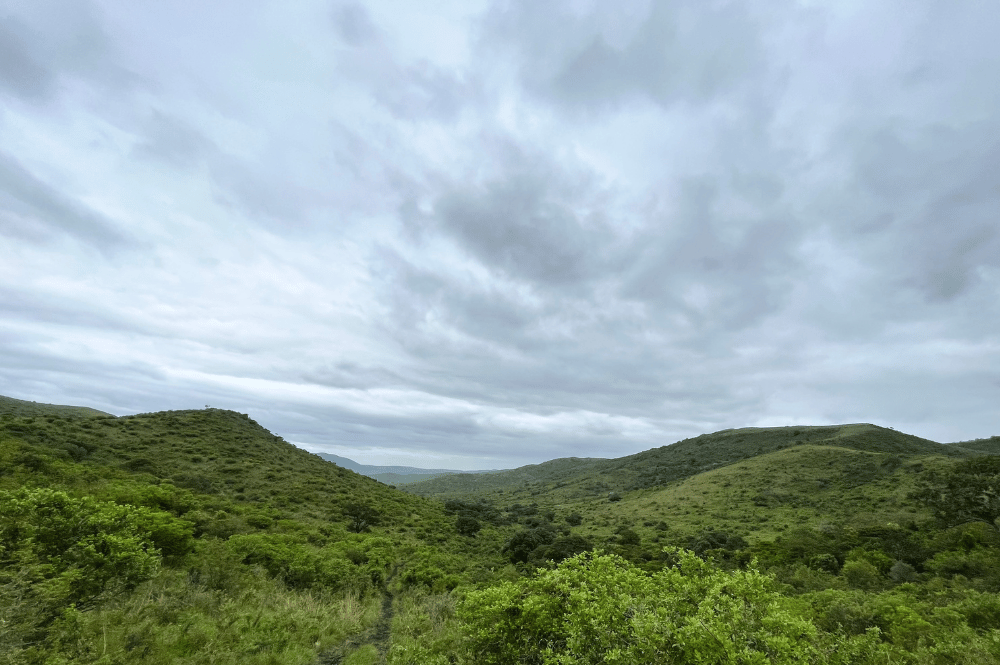 Rolling hills with thick green vegetation and cloudy skies.