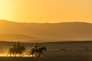 Three people riding mules at sunset in the desert.