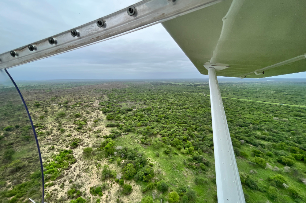 Aerial shot of a green, vast landscape.