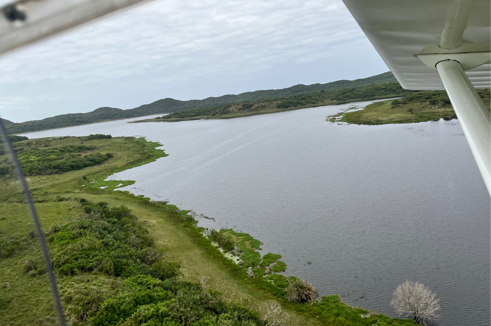 Aerial shot of a river running through a green landscape.