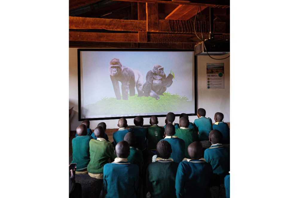 Children watching a projector video (showing gorrilas).