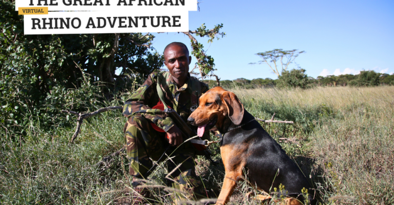 Ranger stroking a dog outside. Text: The Great African Rhino Adventure