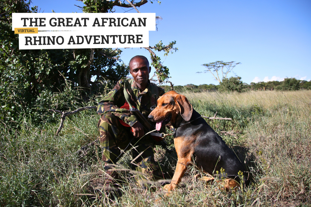 Ranger stroking a dog outside. Text: The Great African Rhino Adventure