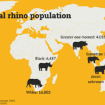 Map of the world with rhino populations.