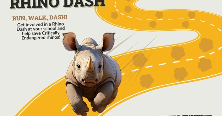 Animated rhino calf running along an animated yellow road. Text: Rhino Dash.