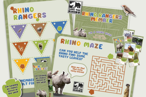 Rhino Rangers Membership Pack showing a selection of the products within the pack