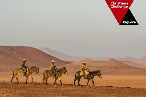 Three people riding mules across a desert. Logo: The Big Give Christmas Challenge