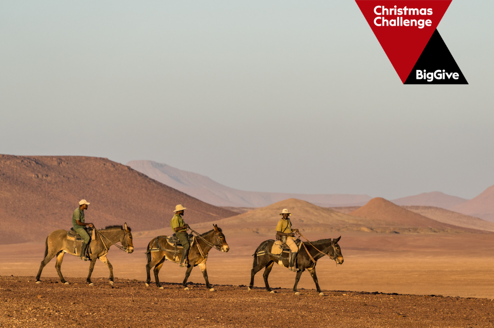 Three people riding mules across a desert. Logo: The Big Give Christmas Challenge