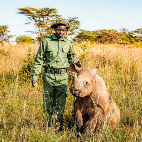 Image of ranger and rhino sat in the long grass