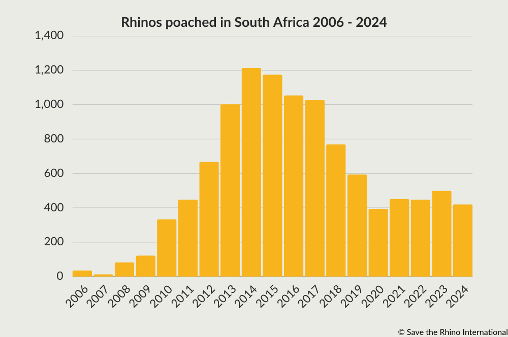 Chart showing rhinos poached in South Africa 2006 - 2024