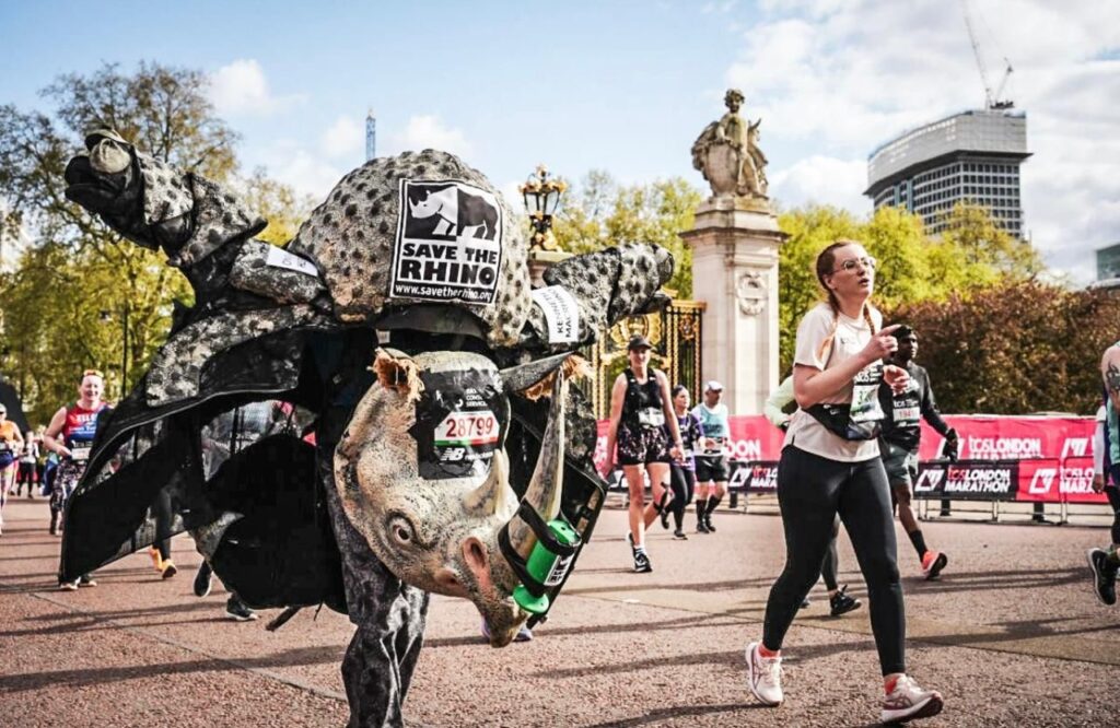 Save the Rhino costume
