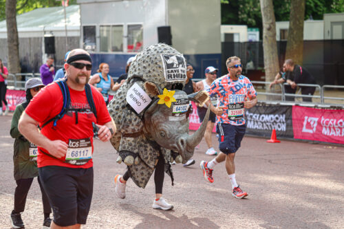 Save the Rhino costume at London Marathon 2025