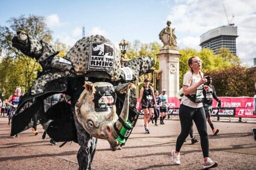 Save the Rhino costume at London Marathon 2025
