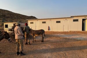 Men leading donkeys in front of a building block.