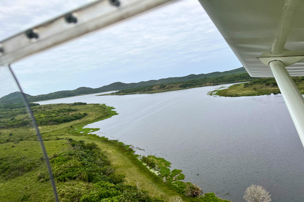 A river running through a natural landscape, photo taken from a small plane.