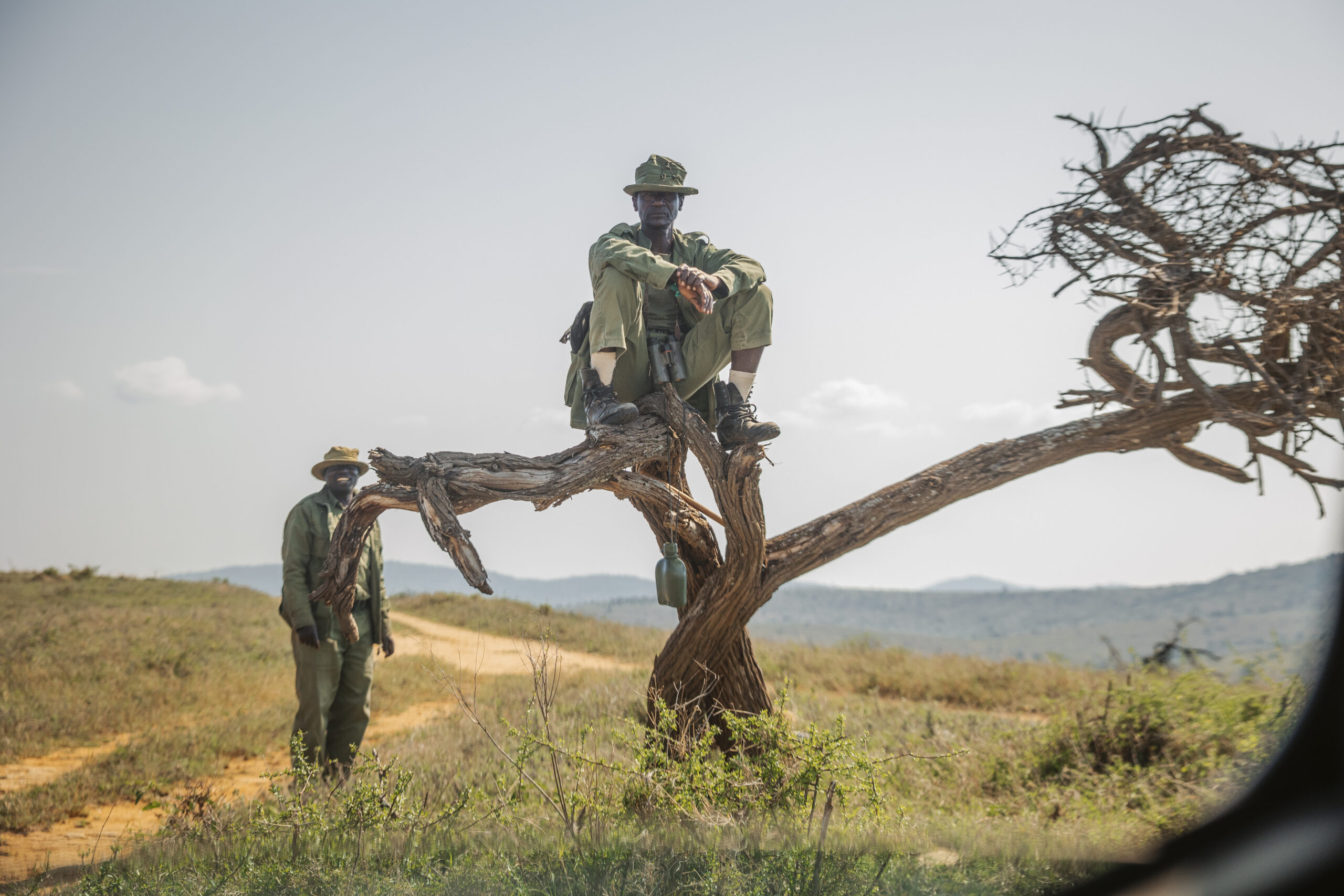 Wildlife rangers on patrol at the ForRangers Ultra, perched in a tree