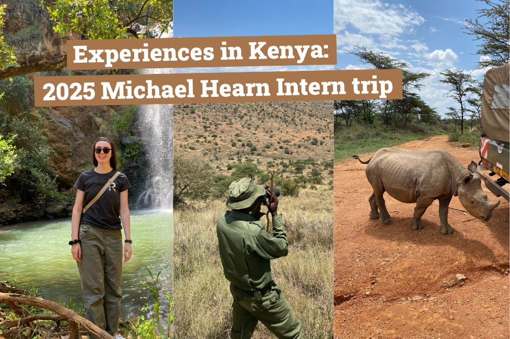Experiences in Kenya: 2025 Michael Hearn Intern trip