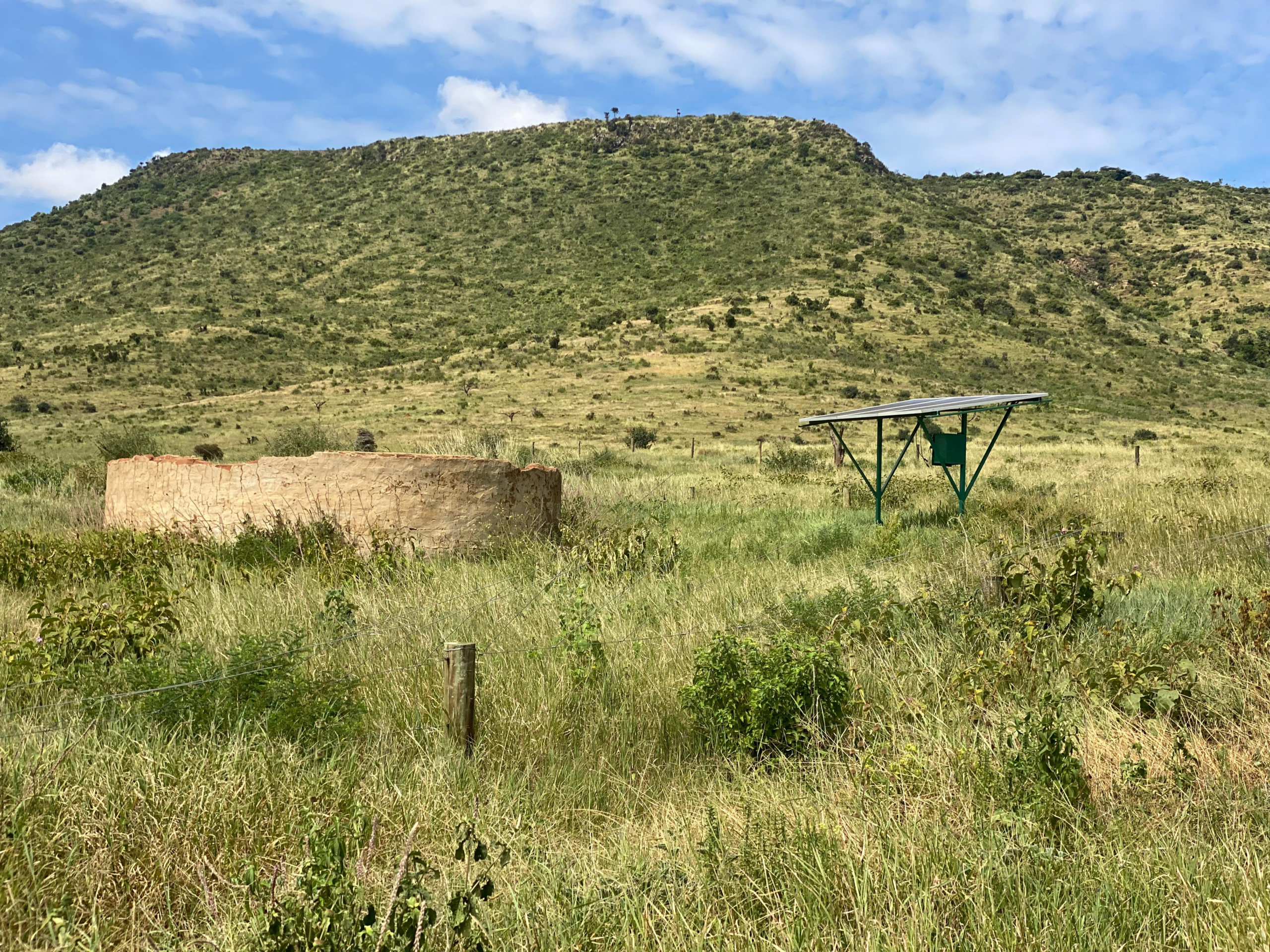 Lush green Mpala Borehole