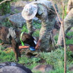 2023HluhluweiMfoloziPark_CreditSRI