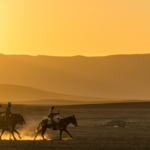 Our 2024 Big Give Christmas Appeal raised £84,332 to support Save the Rhino Trust’s (SRT) Mounted Patrol Unit (MPU) in Namibia’s Kunene Region.